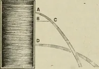 An illustration from Pumps and hydraulics (1905)