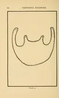 Picture 11 of 13 from Purposeful handwork (1922), leaf 100