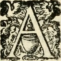 An illustration from Puteolana historia (1604)