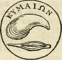 Picture 33 of 67 from Puteolana historia (1604), leaf 137