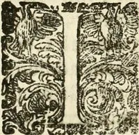 An illustration from Puteolana historia (1604)