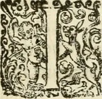 An illustration from Puteolana historia (1604)