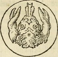 An illustration from Puteolana historia (1604)