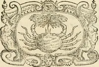 Picture 58 of 67 from Puteolana historia (1604), leaf 228