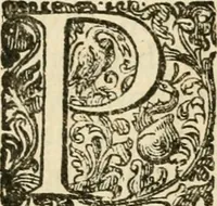 Picture 63 of 67 from Puteolana historia (1604), leaf 252