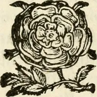 An illustration from Puteolana historia (1604)