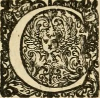 Picture 11 of 67 from Puteolana historia (1604), leaf 33
