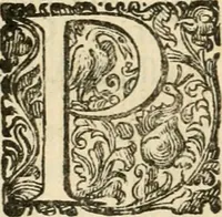 An illustration from Puteolana historia (1604)