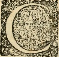 An illustration from Puteolana historia (1604)