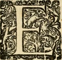 An illustration from Puteolana historia (1604)