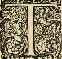 An illustration from Puteolana historia (1604)