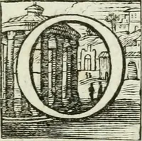 An illustration from Puteus sacer agri bononiensis : jussu sanctissimi domini nostri Benedicti XIV. P.M. commentario illustratus (1756)