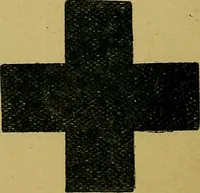 An illustration from Puzzles old and new (1893)