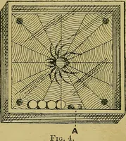 An illustration from Puzzles old and new (1893)