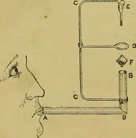 An illustration from Puzzles old and new (1893)