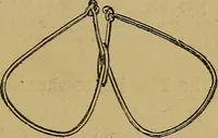 An illustration from Puzzles old and new (1893)