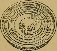 An illustration from Puzzles old and new (1893)