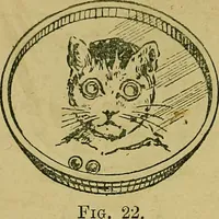 An illustration from Puzzles old and new (1893)