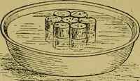 An illustration from Puzzles old and new (1893)