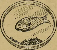 An illustration from Puzzles old and new (1893)