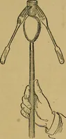 An illustration from Puzzles old and new (1893)