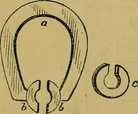 An illustration from Puzzles old and new (1893)