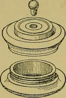 An illustration from Puzzles old and new (1893)