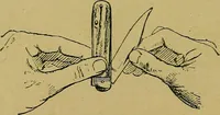 An illustration from Puzzles old and new (1893)