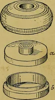 An illustration from Puzzles old and new (1893)