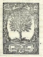An illustration from Pvblilii Optatiani Porphyrii Panegyricvs dictvs Constantino Avgvsto. Ex codice manuscripto Pavlli Velseri, patricij Aug. Vind (1595)