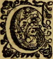 An illustration from P. Virgilii Maronis Opera in tres tomos divisa : cum integris notis Servii, Philargyrii, nec non J. Pierii variis lectionibus, & selectissimis plerisque commentariis Donati, Probi, Nannii, Sabini, Germani, Cerdæ, Taubmanni, & aliorum (1680)