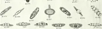 An illustration from P.W. Ellis & Co. Limited, the jewellery headquarters of Canada : 1915-1916 illustrated catalogue : importing and manufacturing, gold and silversmiths, makers of Ellis watch cases (1915)