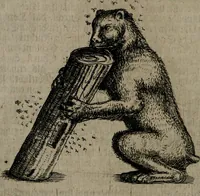 An illustration from Pyramis, oder, Sinnreiche Ehren-Seule : mit hieroglyphischen politico-mystico Sinn-Bildern, zu unterthänigsten Ehren und Glückwünschung der durchlauchtigisten und gnädigisten neuen Chur-Fürstlichen Herrschafft und Regierung Johan[n] Georg des Dritten, Churfürsten von Sachsen (1681)