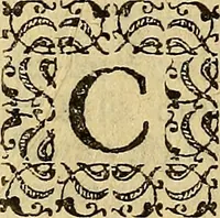 An illustration from Pyronarcha sive de fulminum natura de que febrium origine libri duo : in quibus & fulminum in mundo magno, & febrium in mundo paruo caussae naturales omnes, modus originis, idea, proprietates, differentiae, ac effectus admirabiles accurate tractantur : diligenter explicato vetere gripho pyronarchae, a caelio igiano inter flores medicos descripto (1634)