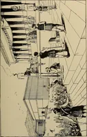 Picture 7 of 51 from Pythian knighthood, it history and literature; (1888), leaf 68