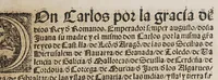 An illustration from Quaderno d[e] las leyes y prematicas reales fechas en las cortes q[ue] Su Magestad del emperador y rey nuestro señor mando celebrar en la noble villa de Madrid en el año de M.D.xxviij. años. : Muy prouechoso a todos en general (1546)