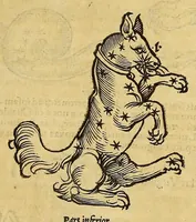 Picture 8 of 22 from Quadrans Apiani astronomicus et iam recens inuentus et nunc primum editus. : Huic adiuncta sunt [et] alia intrumenta obseruatoria perinde noua . (1532), leaf 21