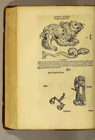 An illustration from Quadrans Apiani astronomicus et iam recens inuentus et nunc primum editus. : Huic adiuncta sunt [et] alia intrumenta obseruatoria perinde noua . (1532)