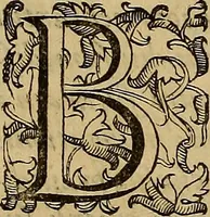 An illustration from Quaestiones definitae ex triplici philosophia : rationali, naturali, morali : in Parmensi Academia publicè triduum disputae (1613)