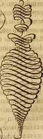 An illustration from Quaestiones definitae ex triplici philosophia : rationali, naturali, morali : in Parmensi Academia publicè triduum disputae (1613)
