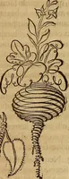 An illustration from Quaestiones definitae ex triplici philosophia : rationali, naturali, morali : in Parmensi Academia publicè triduum disputae (1613)