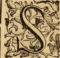 An illustration from Quaestiones definitae ex triplici philosophia : rationali, naturali, morali : in Parmensi Academia publicè triduum disputae (1613)