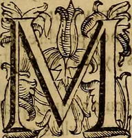 An illustration from Quaestiones definitae ex triplici philosophia : rationali, naturali, morali : in Parmensi Academia publicè triduum disputae (1613)