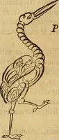 An illustration from Quaestiones definitae ex triplici philosophia : rationali, naturali, morali : in Parmensi Academia publicè triduum disputae (1613)