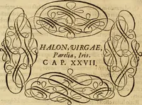 An illustration from Quaestiones definitae ex triplici philosophia : rationali, naturali, morali : in Parmensi Academia publicè triduum disputae (1613)