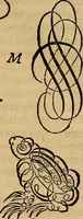 An illustration from Quaestiones definitae ex triplici philosophia : rationali, naturali, morali : in Parmensi Academia publicè triduum disputae (1613)