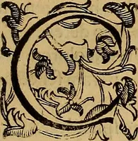 An illustration from Quaestiones definitae ex triplici philosophia : rationali, naturali, morali : in Parmensi Academia publicè triduum disputae (1613)