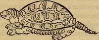 An illustration from Quaestiones definitae ex triplici philosophia : rationali, naturali, morali : in Parmensi Academia publicè triduum disputae (1613)