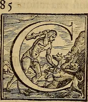 An illustration from Quaestiones definitae ex triplici philosophia : rationali, naturali, morali : in Parmensi Academia publicè triduum disputae (1613)
