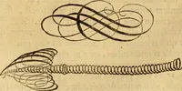 An illustration from Quaestiones definitae ex triplici philosophia : rationali, naturali, morali : in Parmensi Academia publicè triduum disputae (1613)